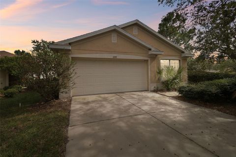 A home in RIVERVIEW