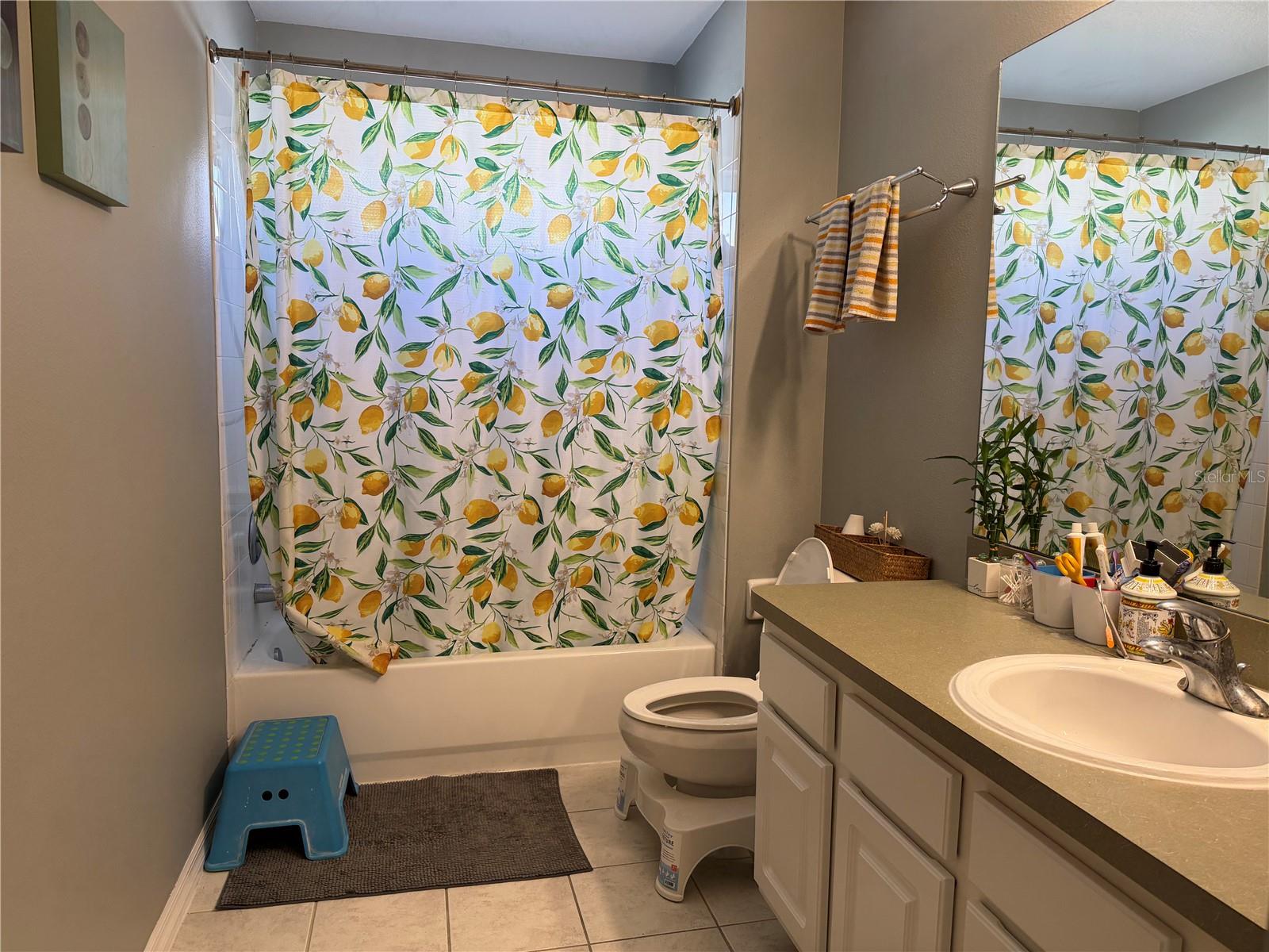 WINDSOR PLACE AT CITRUS PARK PH 02 - Residential