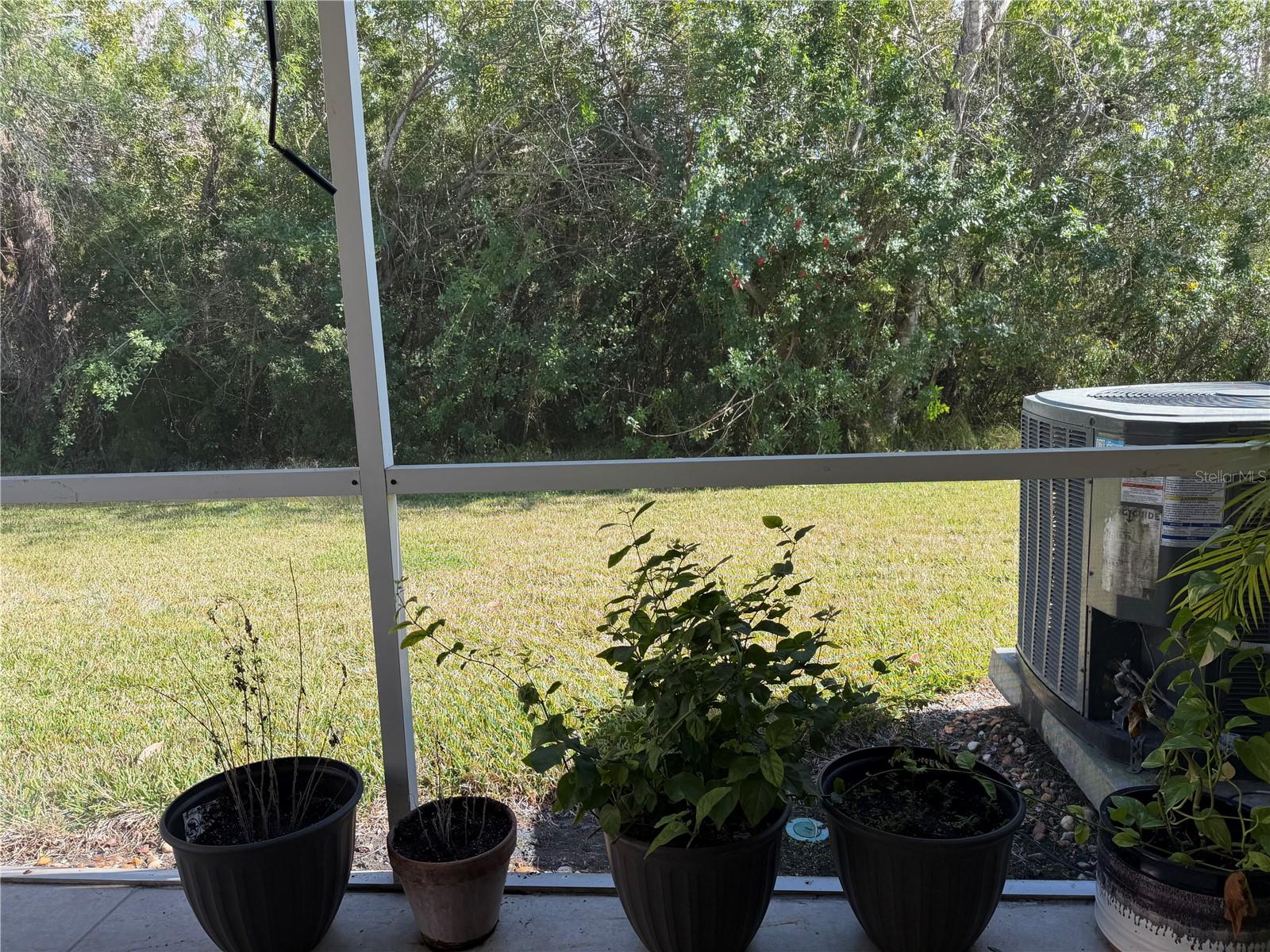 WINDSOR PLACE AT CITRUS PARK PH 02 - Residential