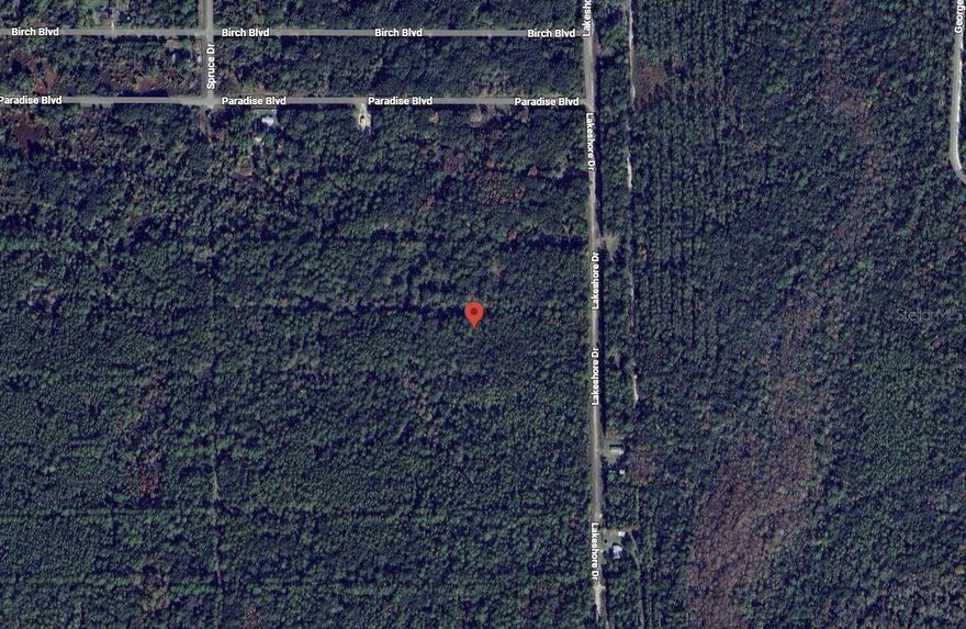 Owner financing considered! Rare opportunity to own a 0.23-acre vacant lot in Georgetown, FL! This residential lot is zoned R-2, allowing for single-family homes, tiny homes, barndominiums or mobile homes. Located on a quiet dirt road, the property offers privacy and flexibility for your dream home or investment. Conveniently situated near local amenities, schools, and major roadways, this lot is perfect for building the home you’ve always wanted. The seller owns multiple properties throughout Putnam County and is willing to sell as a package deal, offering additional investment or development opportunities.
