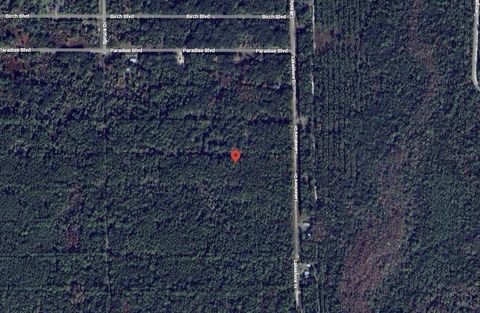329 CHIPOLA DRIVE GEORGETOWN FL 32139