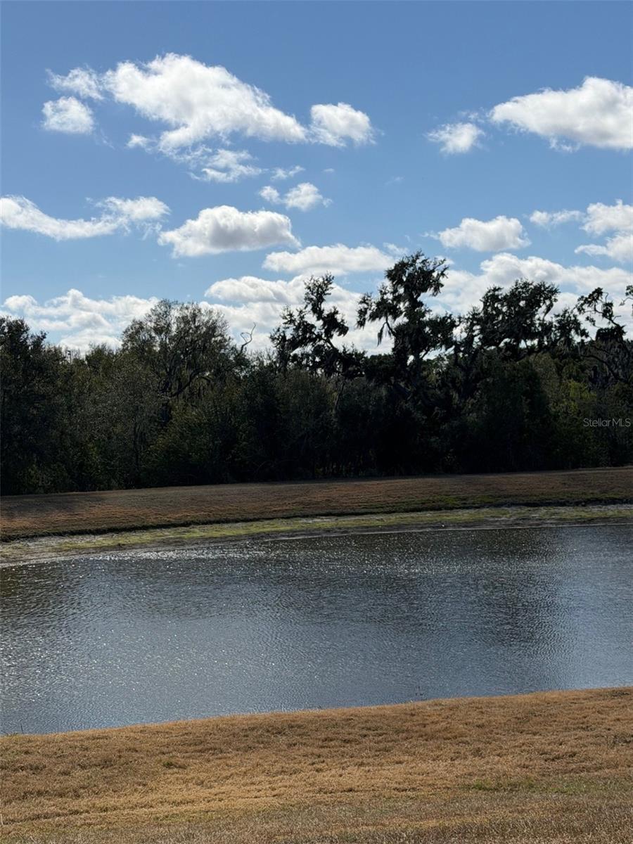 SHADY CREEK PRESERVE PH 1 - Residential