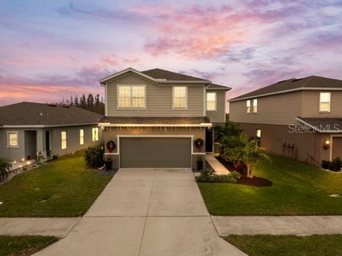 A home in LAND O LAKES