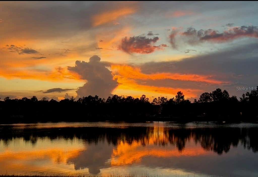 Photo of 14125 Oasis Cove Boulevard #206, Windermere, FL 34786 (MLS # S5154463)