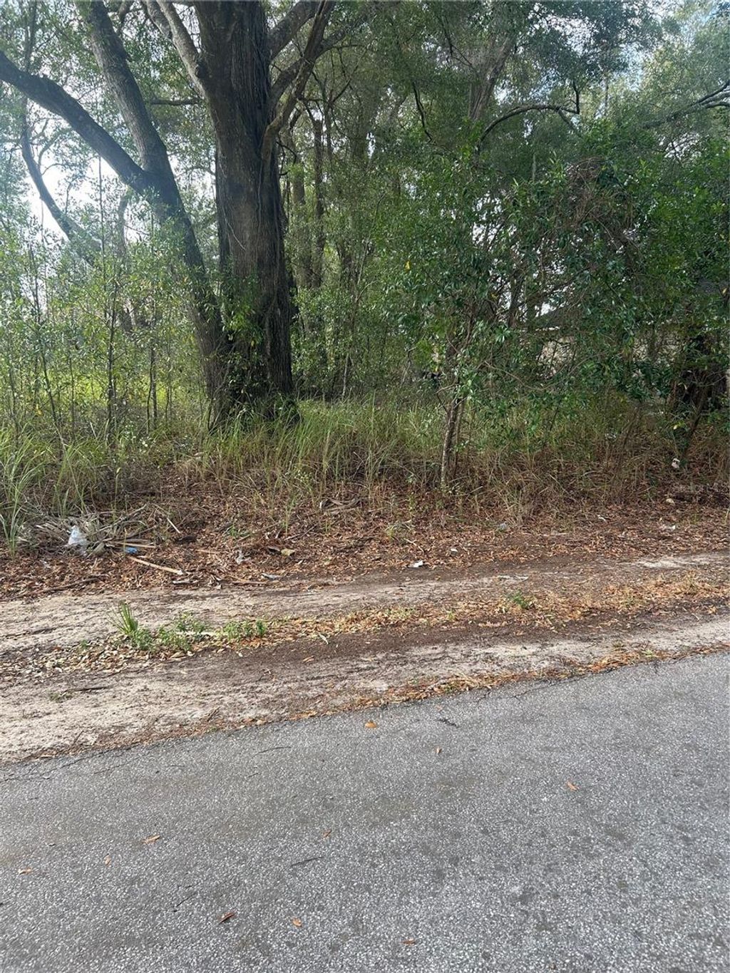 Photo of Tbd Dogwood Trail Place, Ocala, FL 34472 (MLS # OM715546)