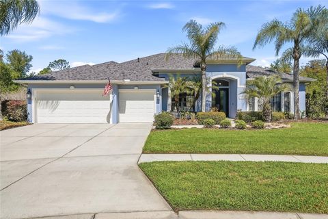 Photo of 7101 Hatpin Loop, Wesley Chapel, FL 33545 (MLS # TB8495168)