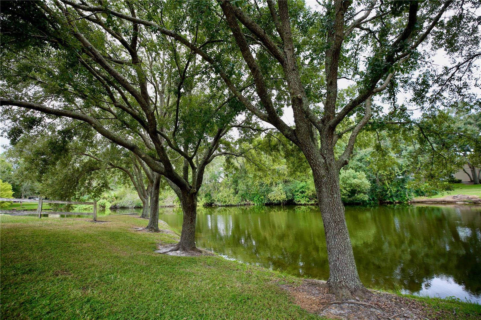 RAINTREE VILLAGE CONDO N - Residential