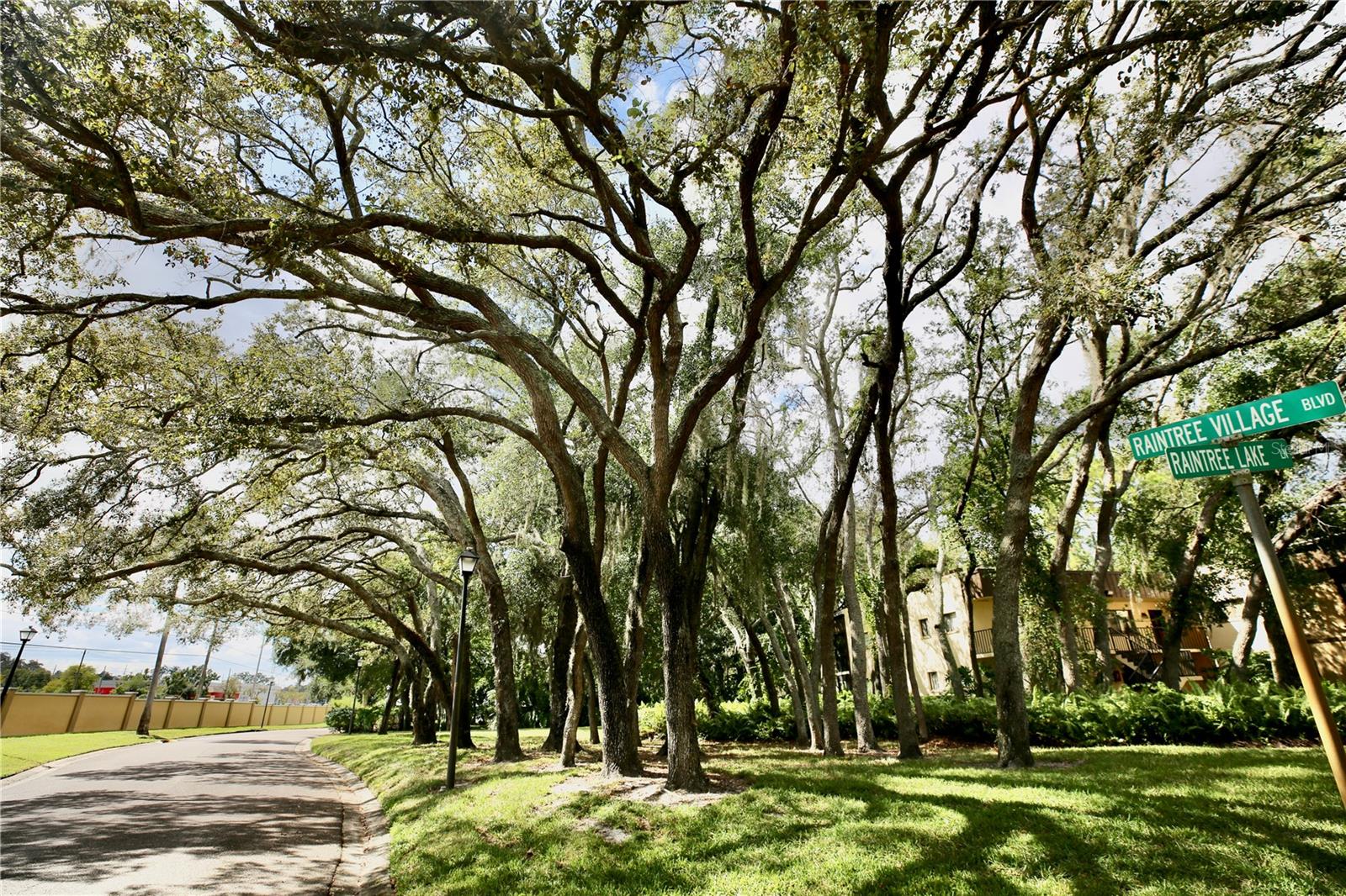 RAINTREE VILLAGE CONDO N - Residential