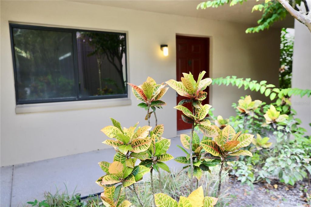 Photo of 11702 Raintree Village Boulevard #B, Temple Terrace, FL 33617 (MLS # TB8444195)