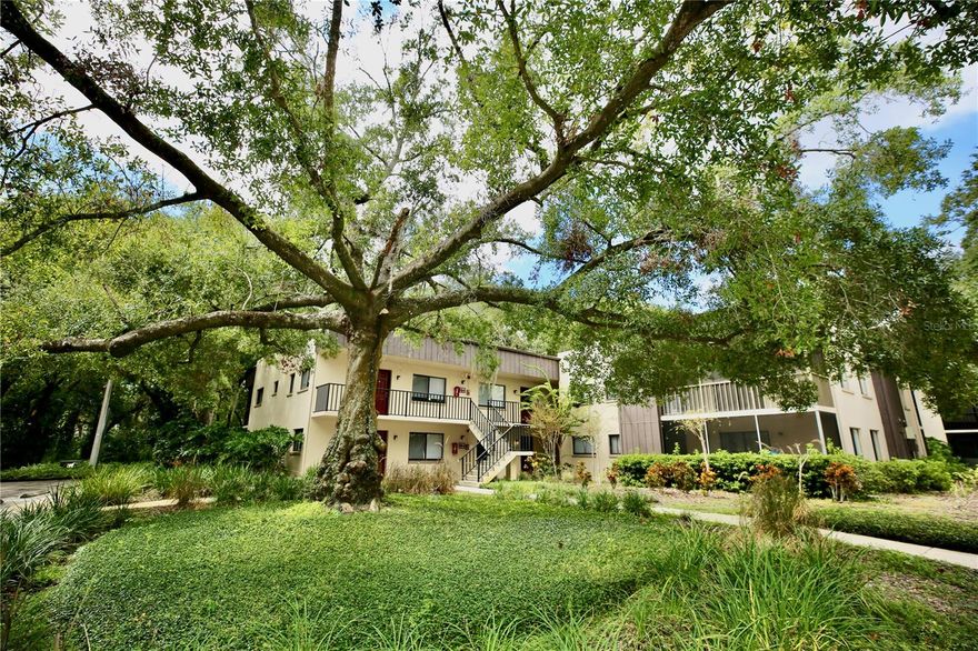 **PRICE IMPROVEMENT!**  Welcome to Raintree Village!  This condo has been tastefully redone inside in neutral palette with all new kitchen cabinets, sink, countertops, appliances, flooring throughout, lighting, fresh paint, closets, etc.  You'll want to see this transformation for yourself with newer HVAC and ductwork, electrical updates and plumbing updates.  The HOA can confirm the age of the roof and other questions about the grounds and community.  This community features easy access to I-75 and I-275 and offers unique lifestyle amenities.  Come experience the natural beauty for yourself with large oak trees, mature landscaping in a park like setting with lake and wildlife.  The HOA here offers 2 pools, clubhouse, tennis courts, racquetball courts and RV/Boat storage.   You won't want to miss out on seeing this one and The Price is Right too!