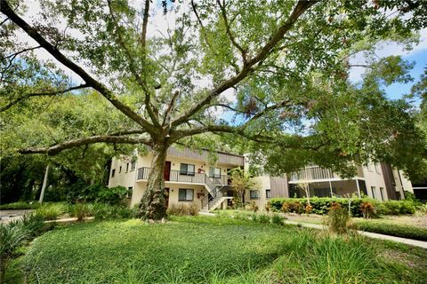 11702 RAINTREE VILLAGE BOULEVARD B TEMPLE TERRACE FL 33617