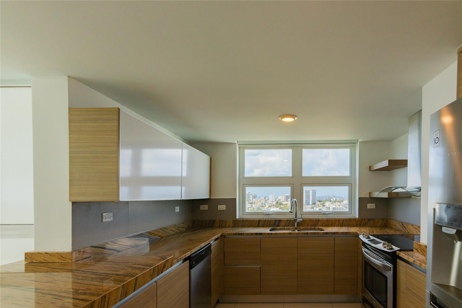 48 LUIS MUNOZ RIVERA AVENUE 2504