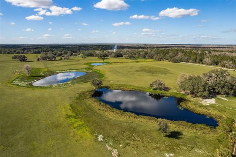 Tiny photo for Cypress Mill Road, Sorrento, FL 32776 (MLS # O6377418)