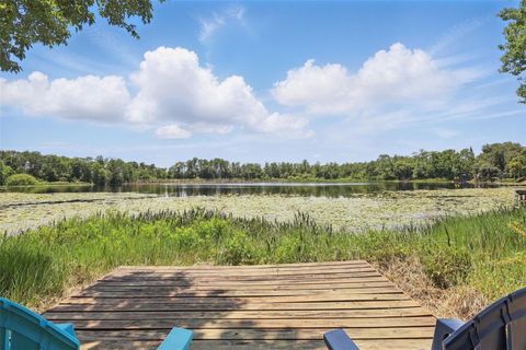 2028 LAKE CHRISTIE DRIVE ORLANDO FL 32809