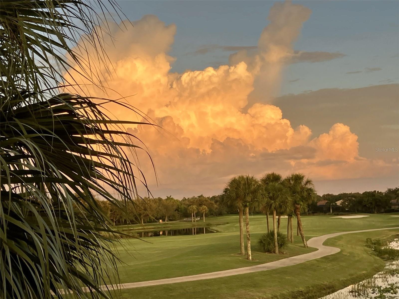 9712 SEA TURTLE TERRACE 201