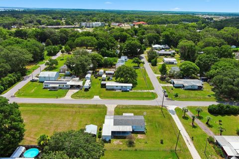 Tiny photo for 16712 SE 99th Avenue, Summerfield, FL 34491 (MLS # G5113684)