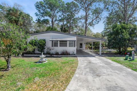 197 PALM MEADOWS DRIVE EUSTIS FL 32726