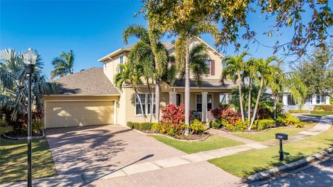 A home in APOLLO BEACH