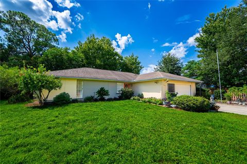 A home in DELTONA