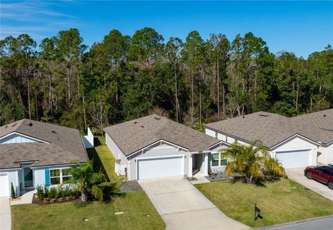 44 SAND WEDGE LANE BUNNELL FL 32110