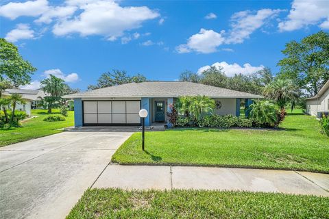 A home in PORT RICHEY