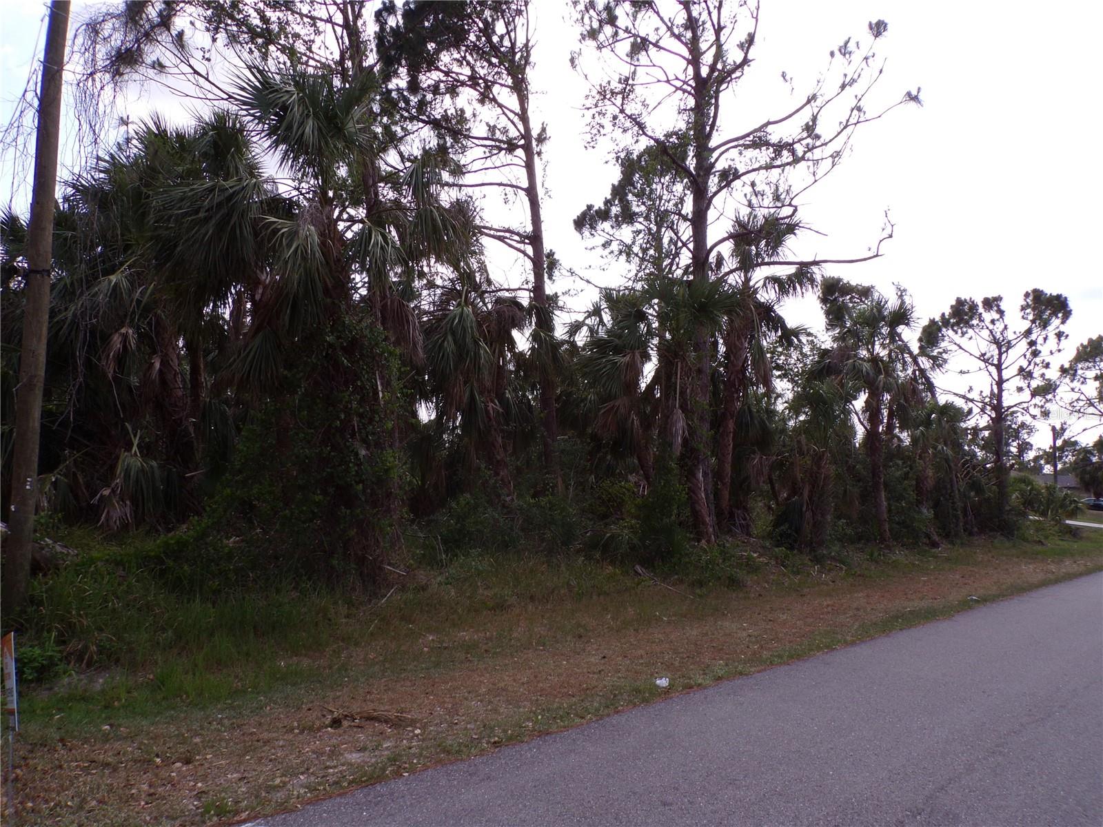 PORT CHARLOTTE SUB 05 - Land