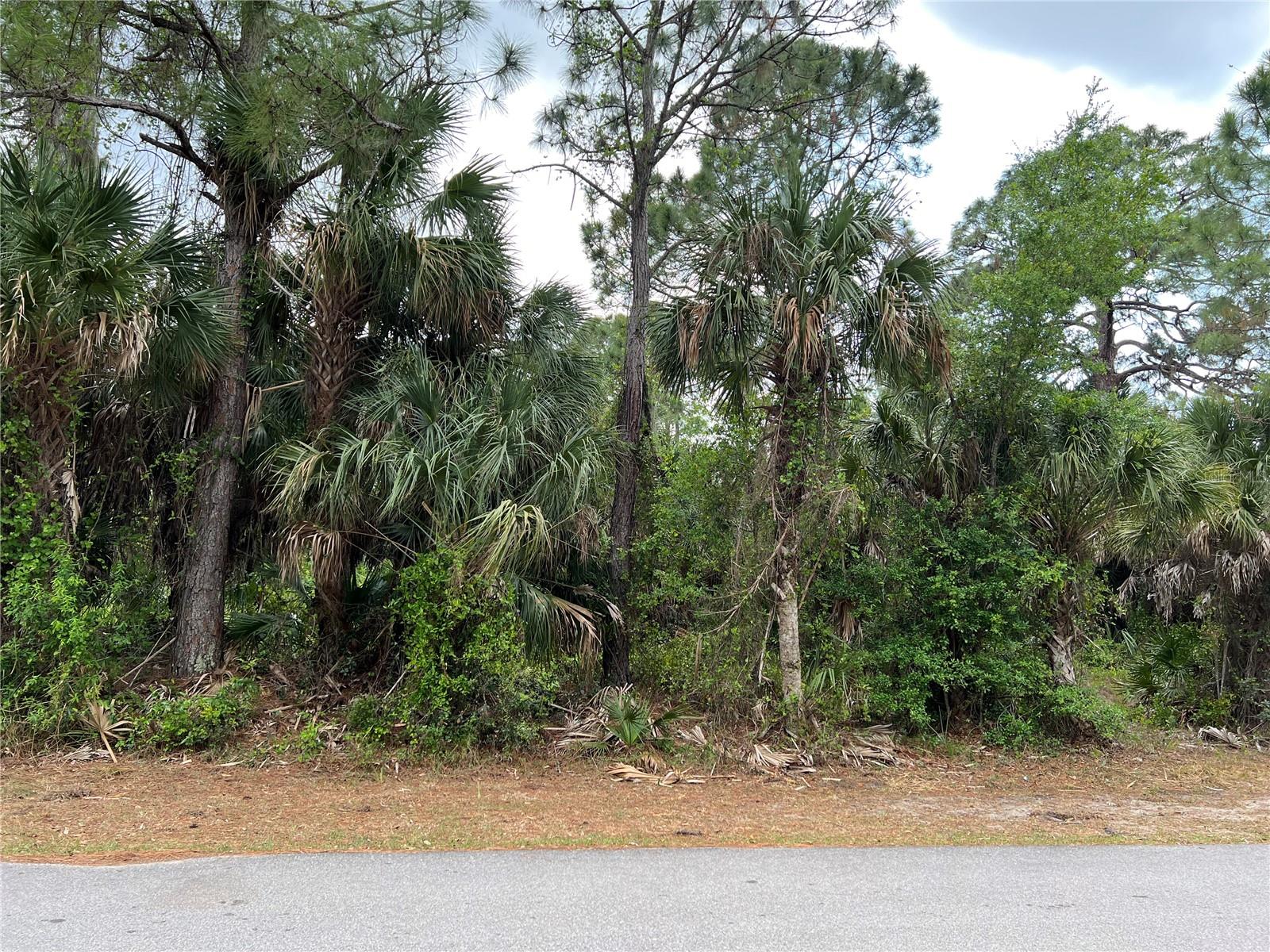 This 20,000 square foot double lot on a quiet street that would be a great place to build your dream home and retire or raise your family. Less than 5 miles to I75 makes this location a easy commute to almost anywhere, and only 20 miles to Venice Pier and Beach, 7 miles to Port Charlotte Town Center with lots of shopping and dining options. Tampa Bay Rays spring training and the fairgrounds are just minutes away, also multiple golf courses and some of the best boating and fishing in all of Florida. Red Soxs, Orioles, Twins and Braves spring training all within an hour’s drive. This lot is priced to sell so please call for availability! This lot is at a great price point for the investor call today.