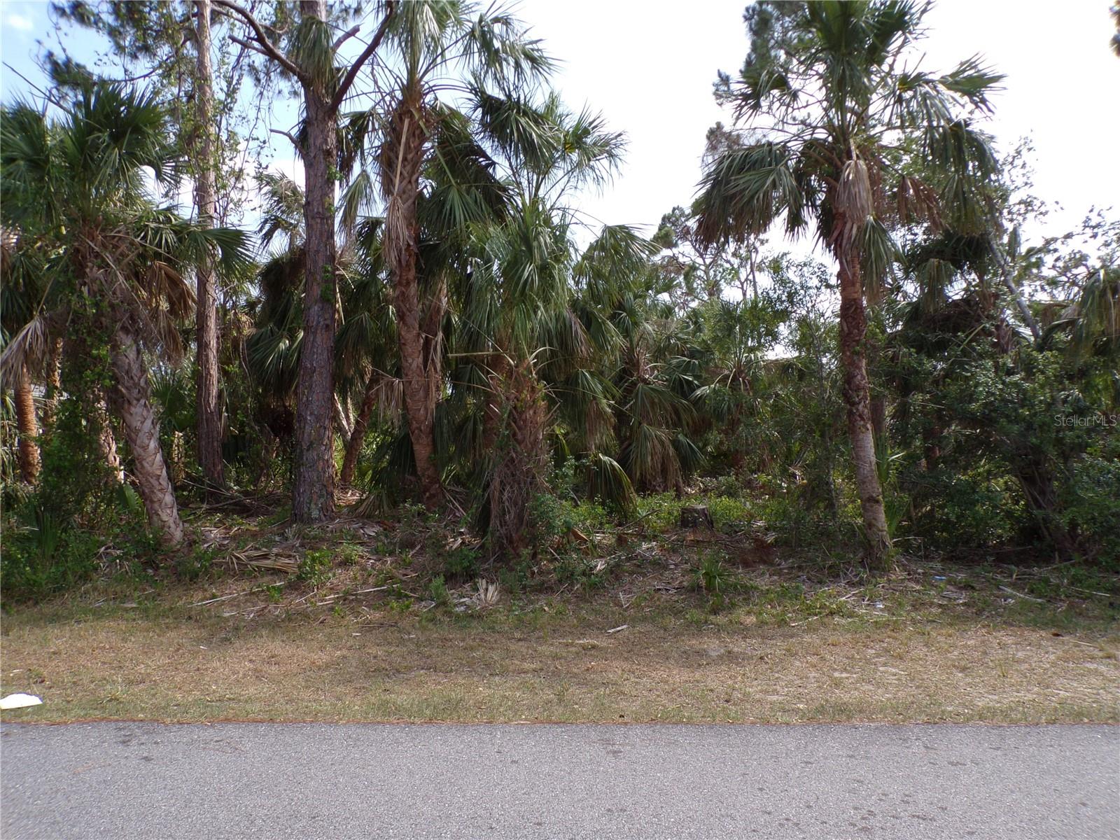 PORT CHARLOTTE SUB 05 - Land
