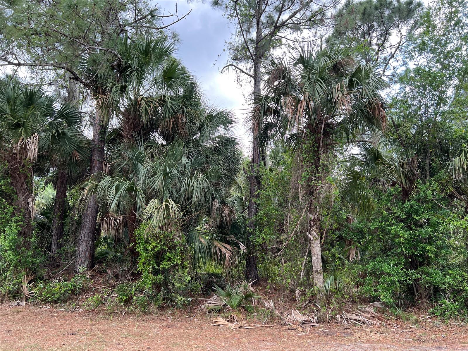 PORT CHARLOTTE SUB 05 - Land