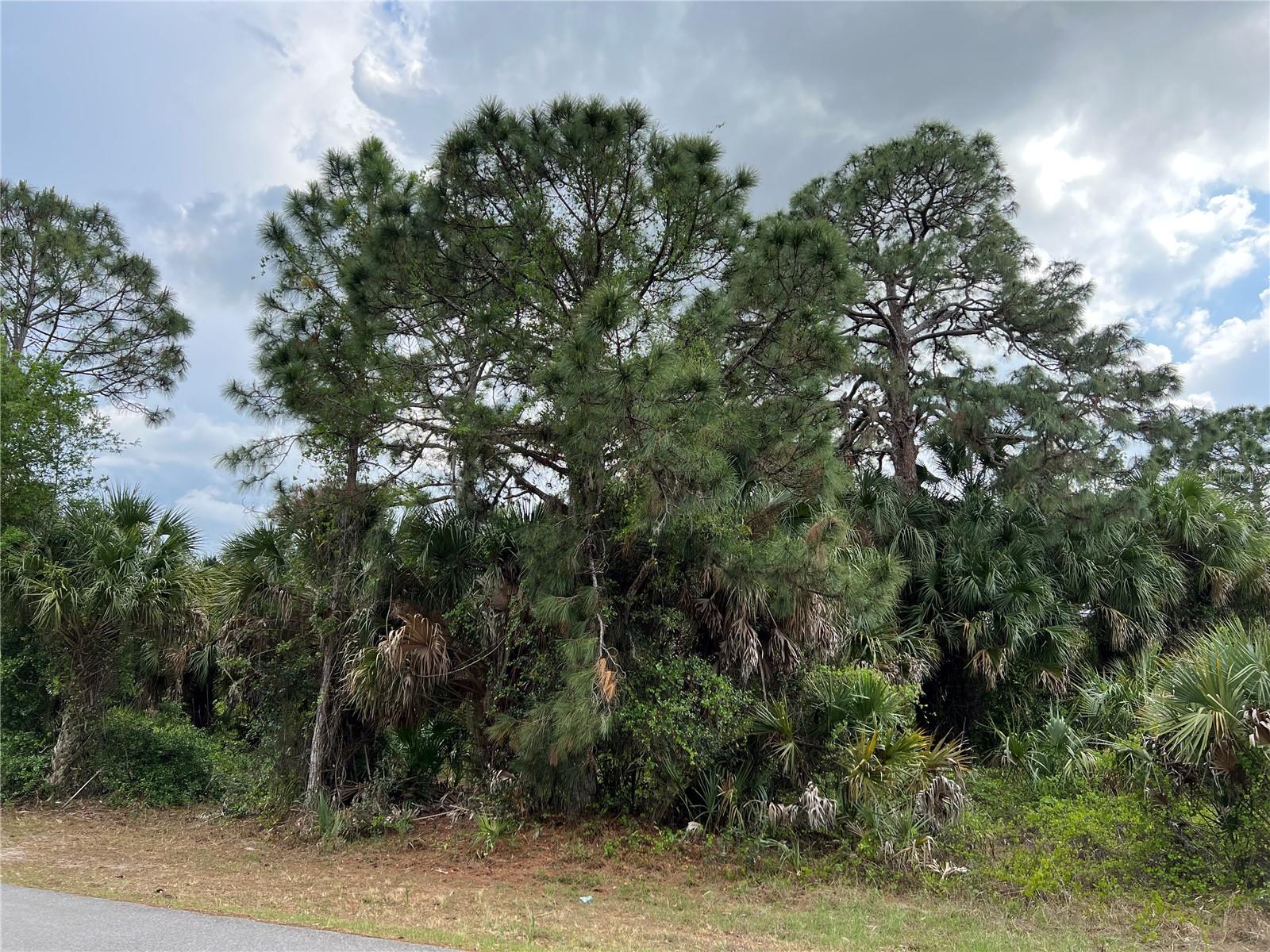 PORT CHARLOTTE SUB 05 - Land
