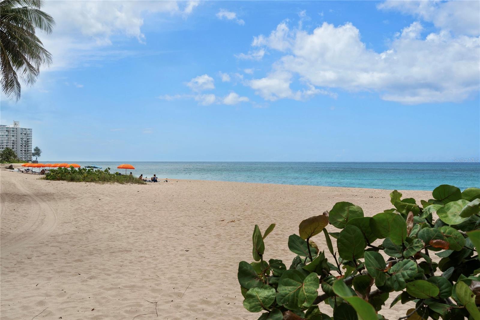 CONDADO - Residential