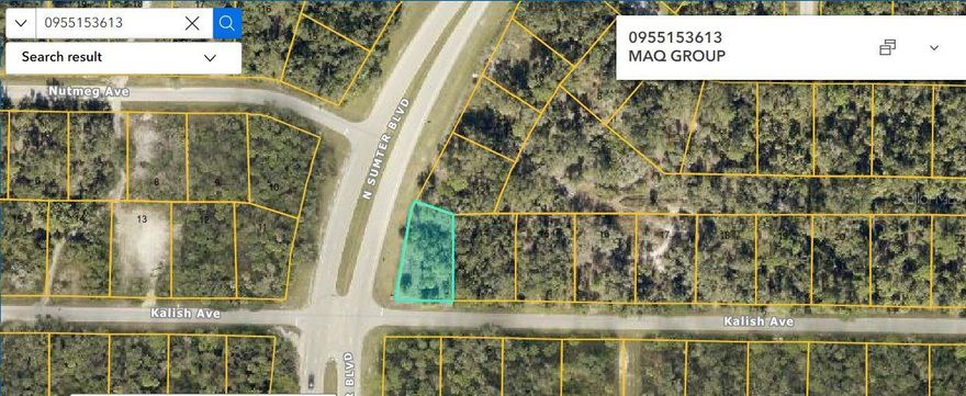 Residential vacant site
Parcel Description:LOT 13 BLK 1536 31ST ADD TO PORT CHARLOTTE LESS I-75 ROW IN OR 1114/1543
Note: buyers I emphasize the importance of conducting thorough due diligence to ensure that the property meets your expectations and requirements.