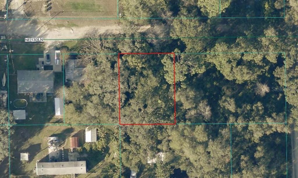 Photo of 34 NE 130th Lane, Salt Springs, FL 32134 (MLS # OM724454)