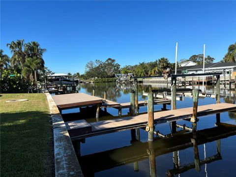 A home in TAMPA