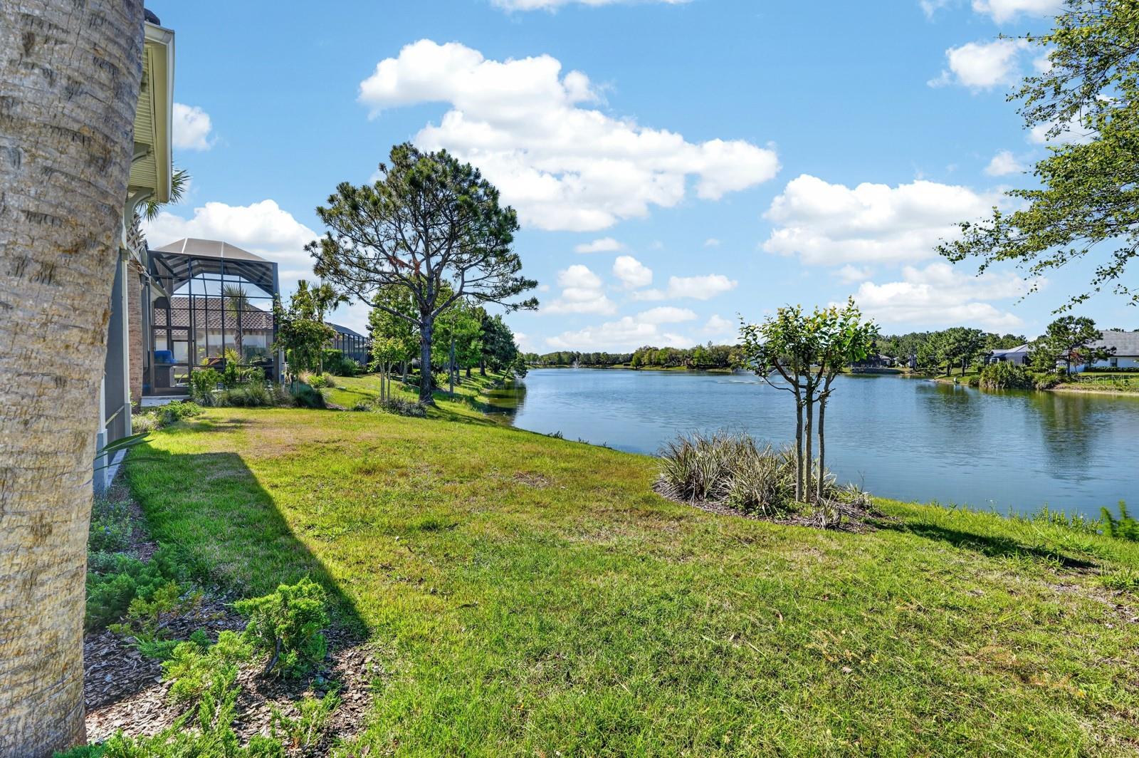 CONSERVATORY AT HAMMOCK BEACH - Residential