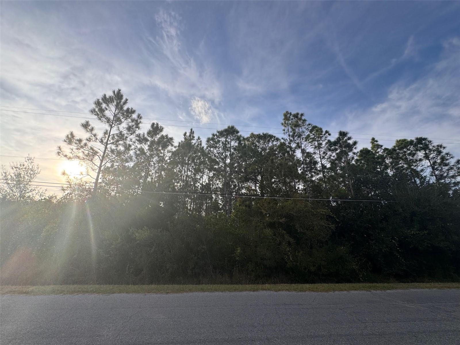 CAPE ORLANDO ESTATES - Land