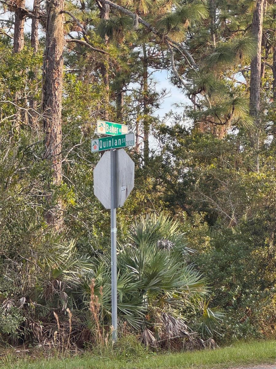 CAPE ORLANDO ESTATES - Land