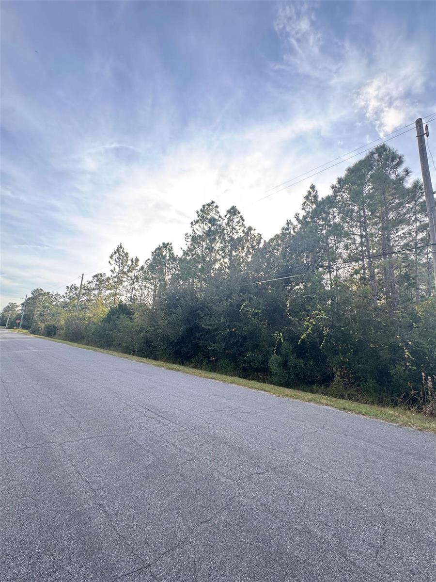 CAPE ORLANDO ESTATES - Land