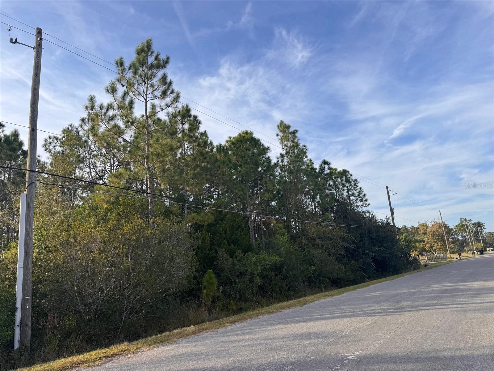 CAPE ORLANDO ESTATES - Land