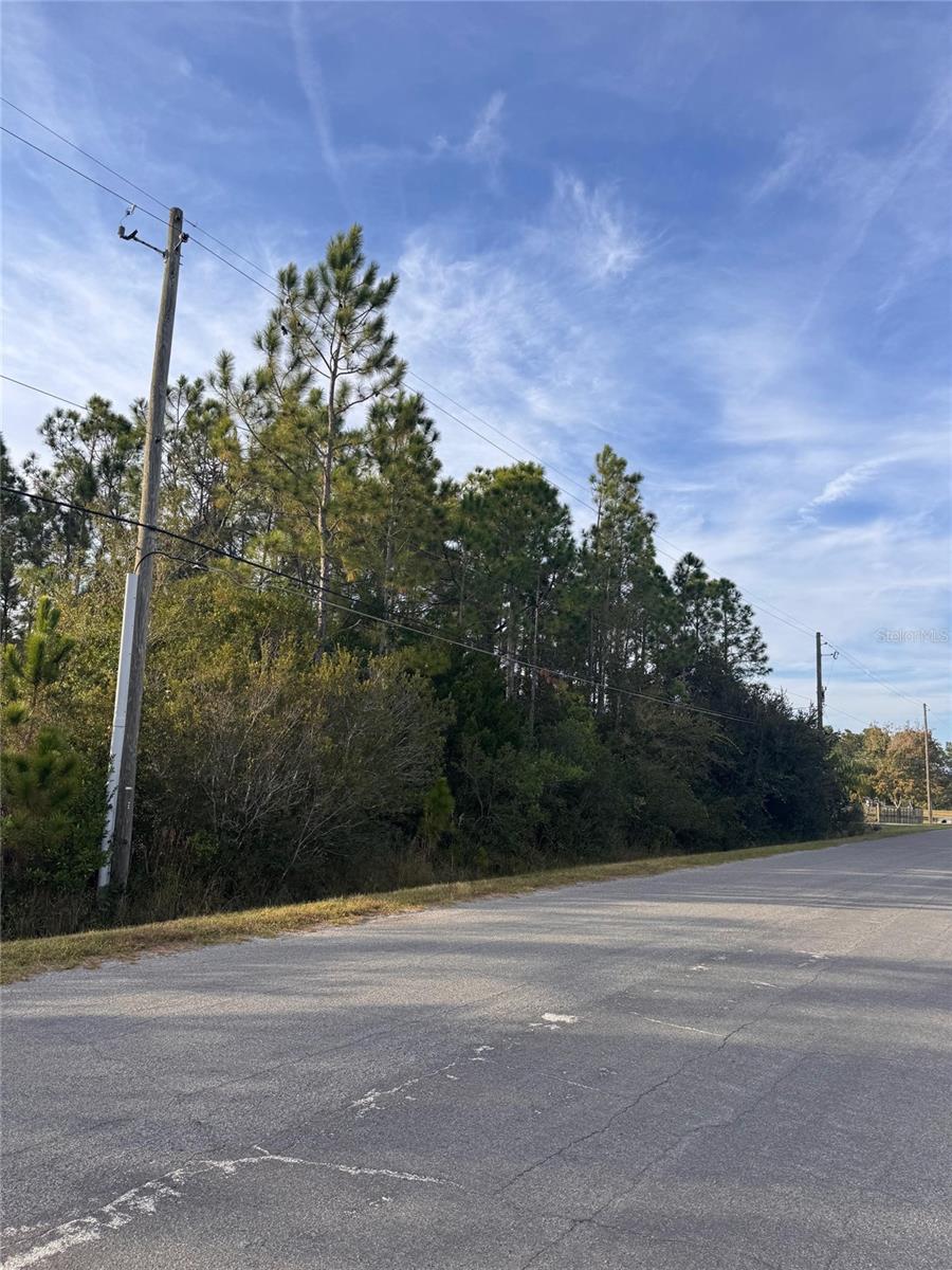 CAPE ORLANDO ESTATES - Land