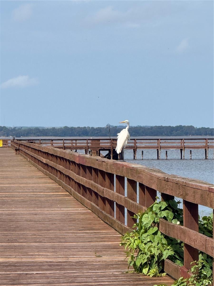 Photo of 414 Camellia Drive #7, Indian Lake Estates, FL 33855 (MLS # L4965591)