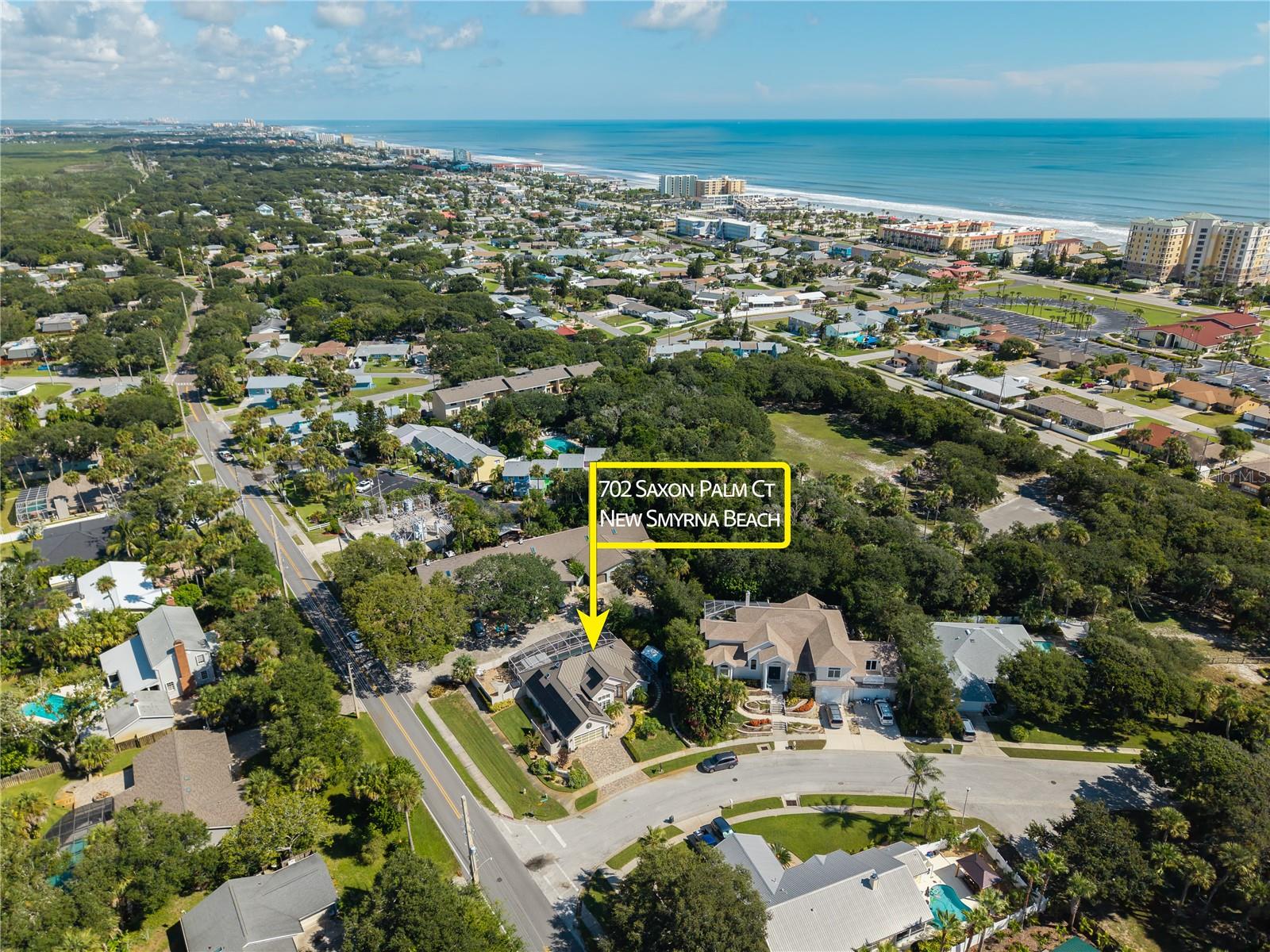 702 SAXON PALM COURT