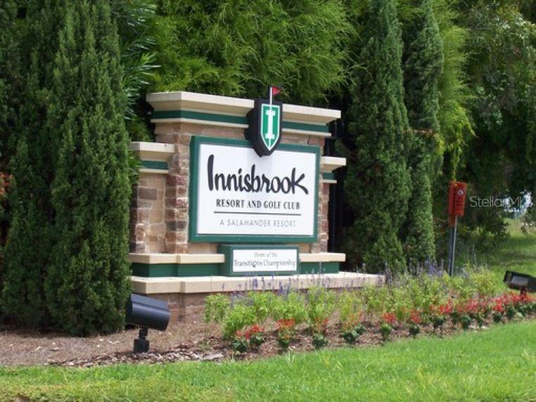 This is your golden opportunity to have your own place in the world-famous Innisbrook Golf and Spa Resort! Own a lovely studio-style condo in a premier community located right here in Pinellas County. This little nugget is on the second floor, giving you a wonderful green view from your balcony. The open floor plan features a divider that can be closed for privacy between the living room and bedroom. Sliding glass doors to the balcony add to the open feeling. The compact kitchen has everything you need, with a pass-thru window. There is a surprising amount of closet space The laundry room and ice machine are at your convenience. There are walking trails and lots of Mother Nature to enjoy. Innisbrook offers several levels of membership to purchase, allowing you to choose just how much you want to pay for, or no extras at all. Less than 30 minutes to Tampa International Airport. Closer than that to beaches, stores, medical facilities, entertainment. Being sold As Is with right to inspect.
