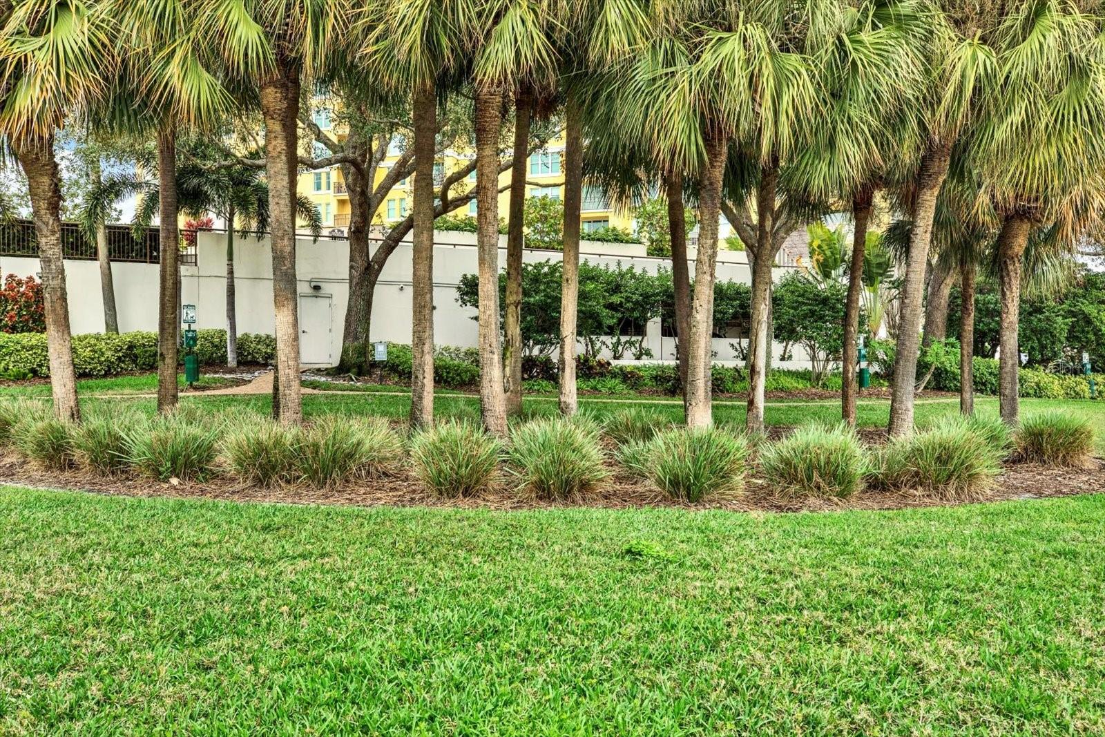 345 BAYSHORE A CONDO - Residential