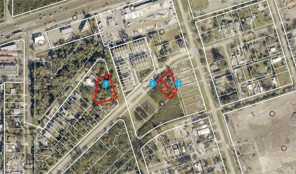 Photo of Merino Boulevard NE, St Petersburg, FL 33702 (MLS # TB8458051)