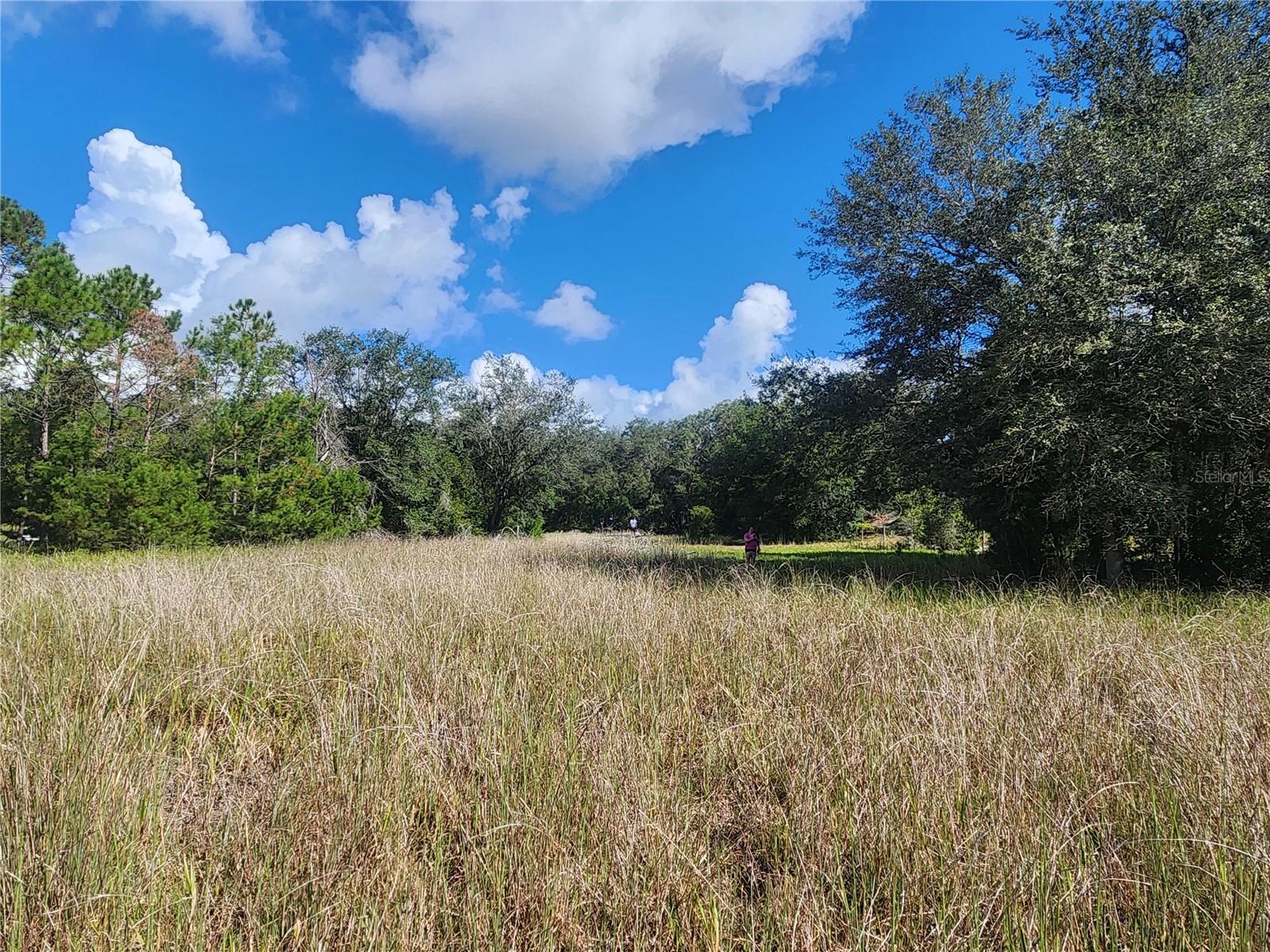 HALF MOON - Residential