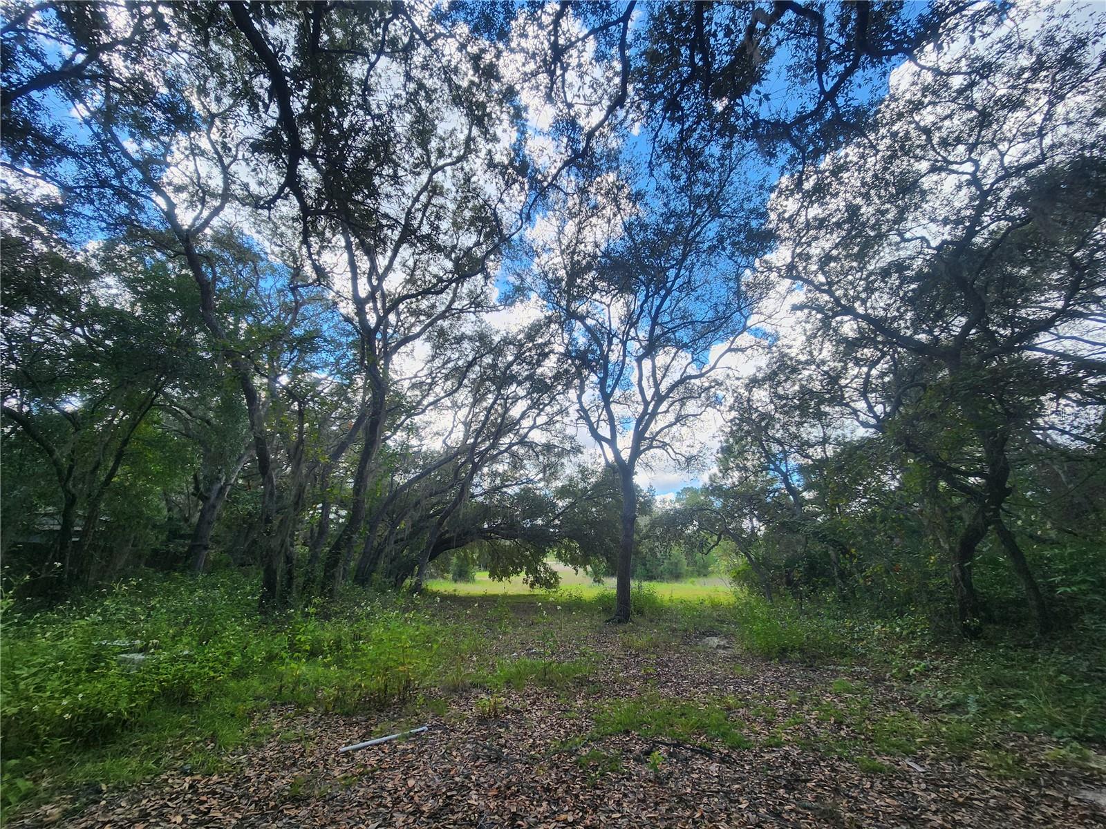 HALF MOON - Residential