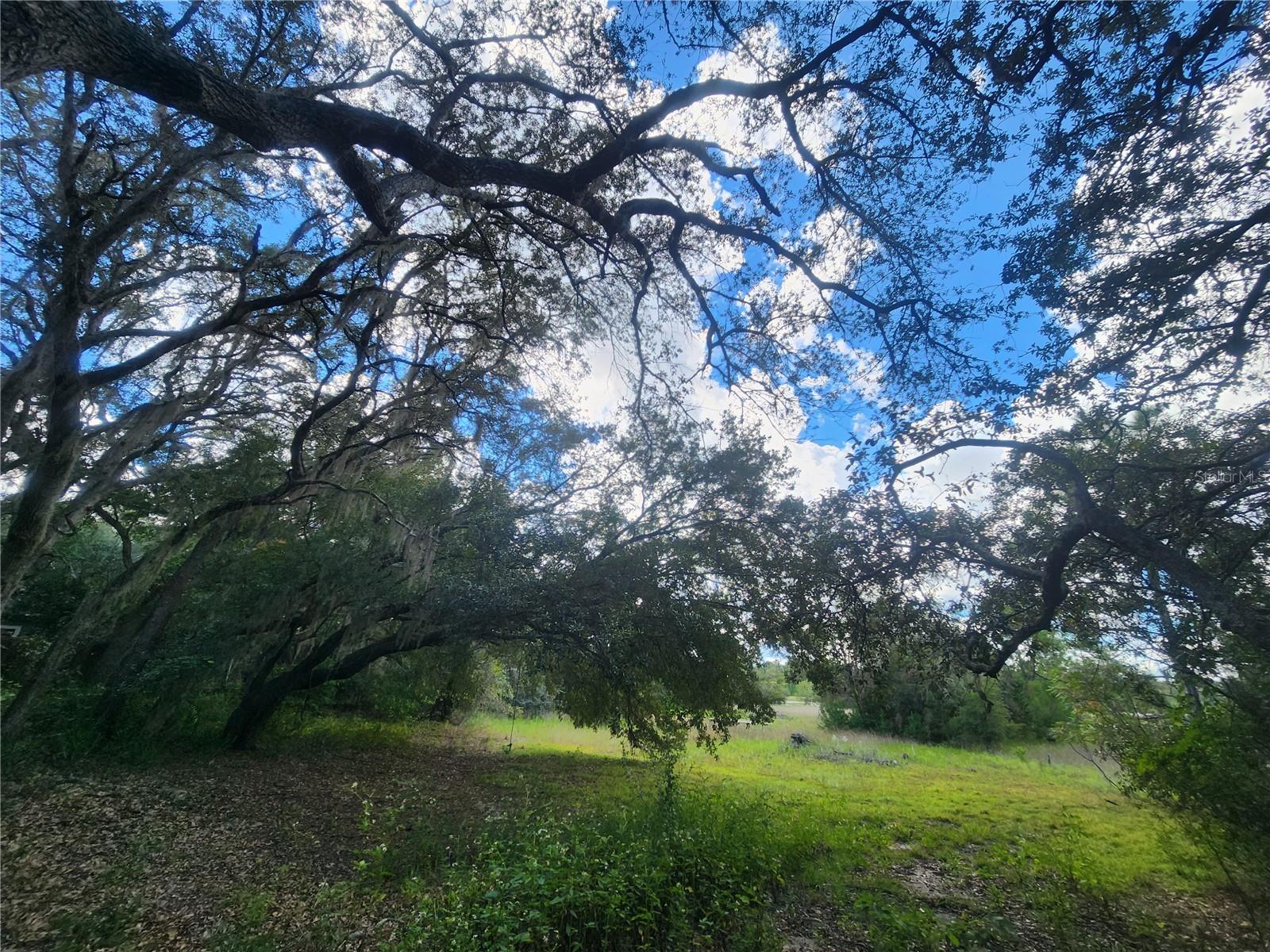 HALF MOON - Residential