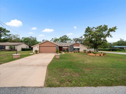 Photo of 2097 Whitewood Avenue, Spring Hill, FL 34609 (MLS # TB8432370)