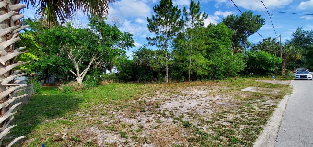 Photo of 355 Chinaberry Avenue, Oviedo, FL 32765 (MLS # O6404837)